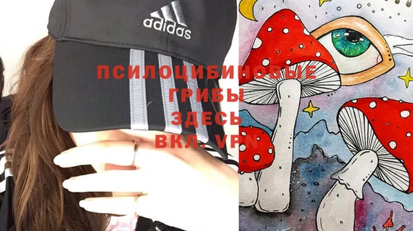 сатива Покровск