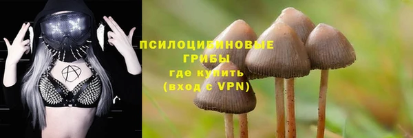 spice Алексеевка